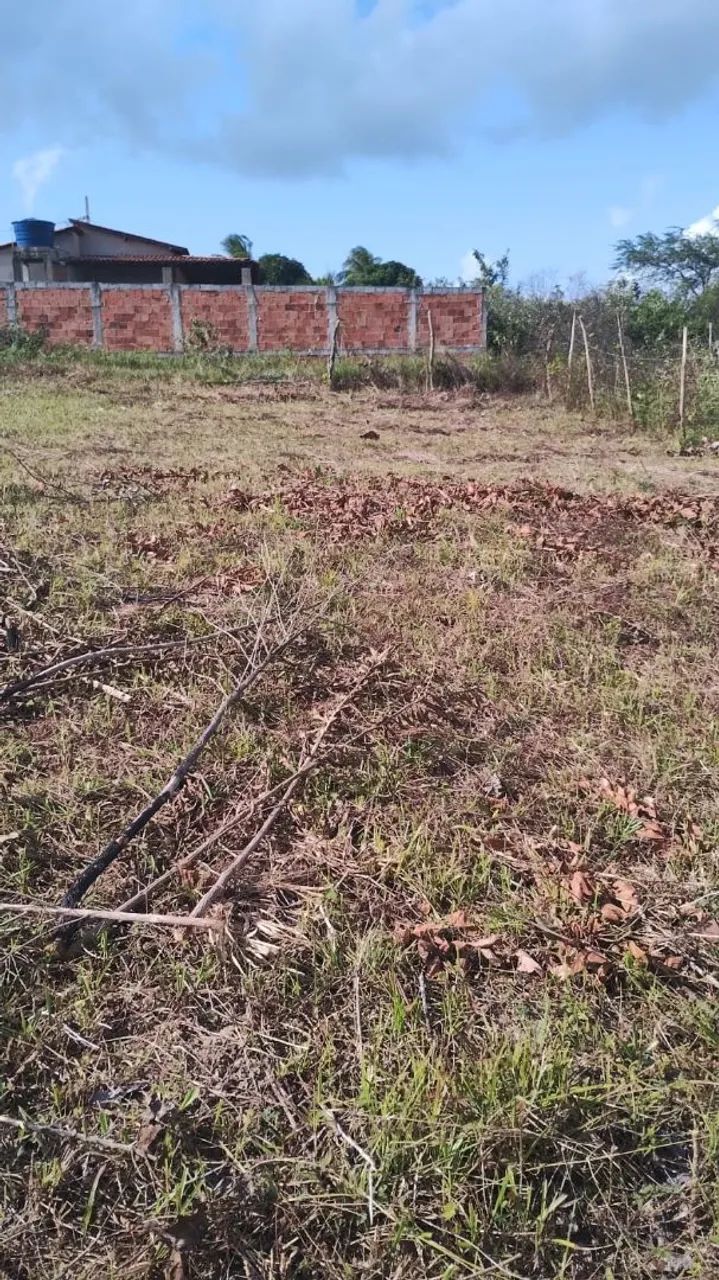 Terreno 10x60 salgado 