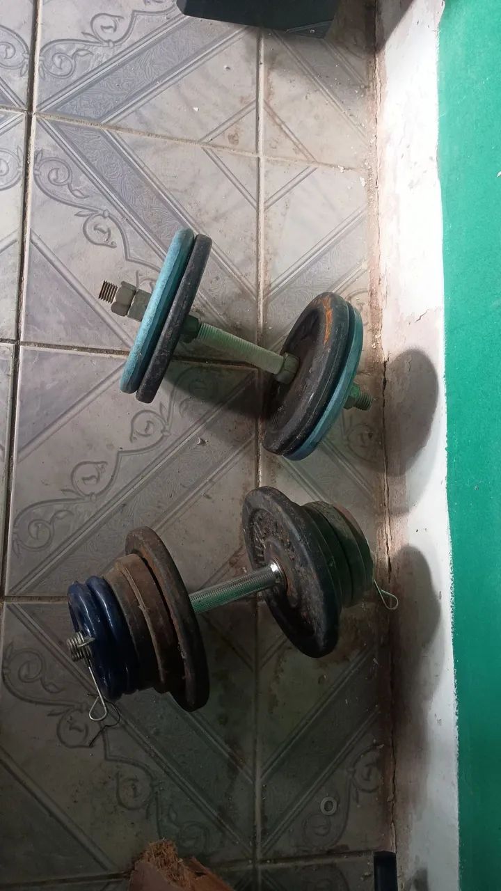 Halteres de academia