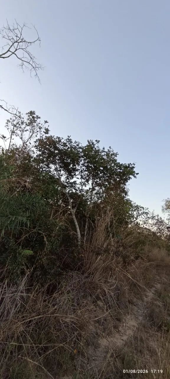Sítio em Rosário Oeste - MT. 13 Hectares - Foto 3