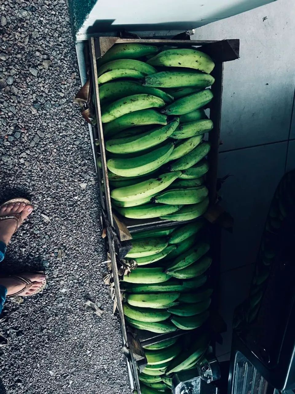 Banana comprida na caixa ZAP * - Foto 2