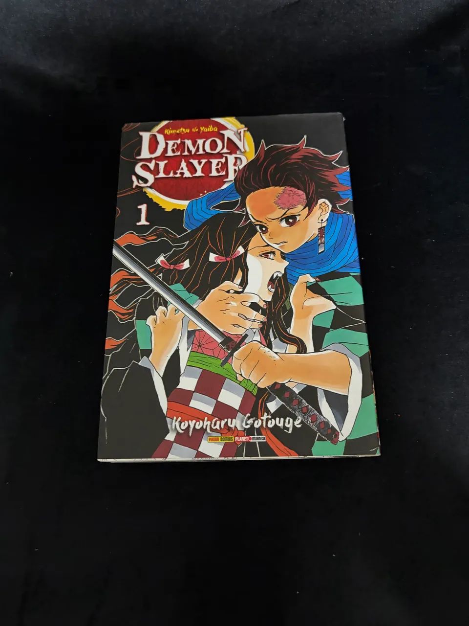 Demon Slayer volume 1