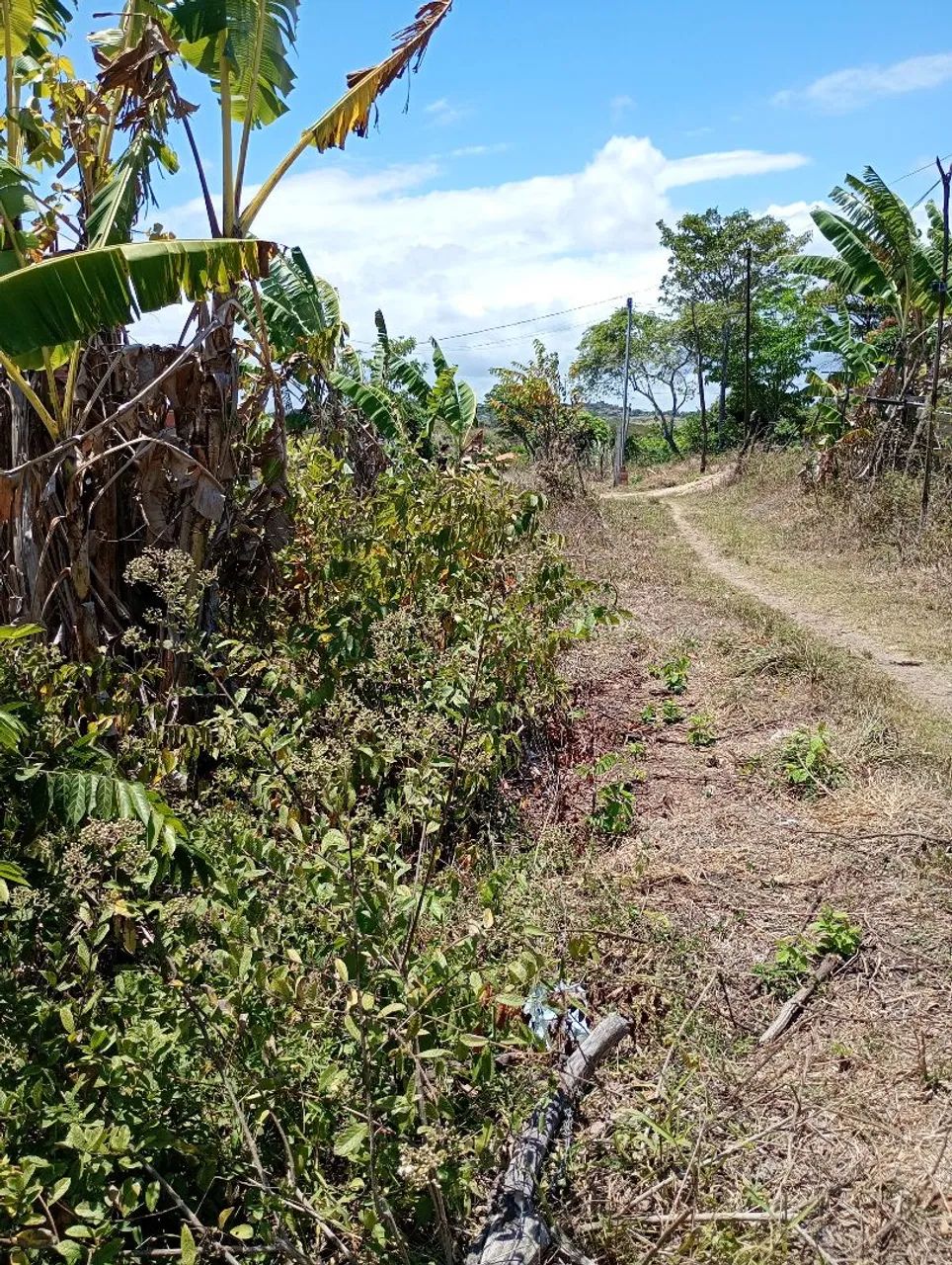 Terreno 6x24  R$ 18.000 - Foto 2