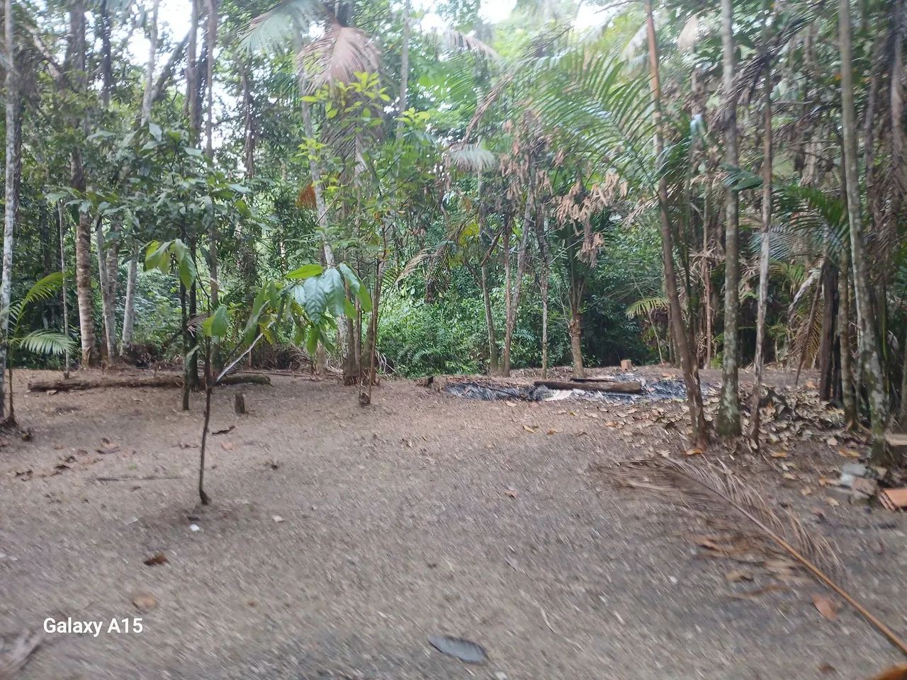 VENDO SÍTIO SANTA BÁRBARA  - Foto 4
