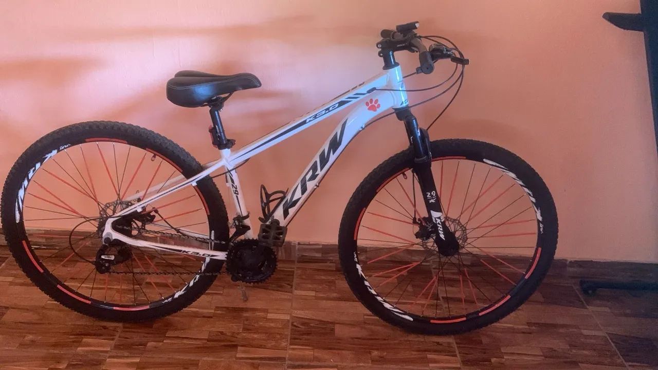 Bike aro 29
