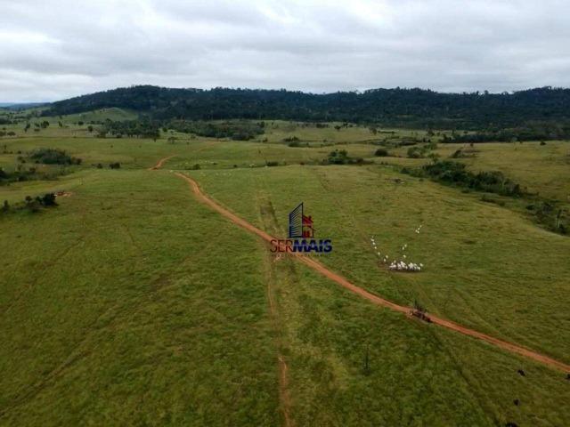 Belissima Fazenda Rural Espigão do oeste/RO - Foto 4