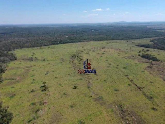 Fazenda na beira da BR 364 próximo à Cacoal - Foto 10