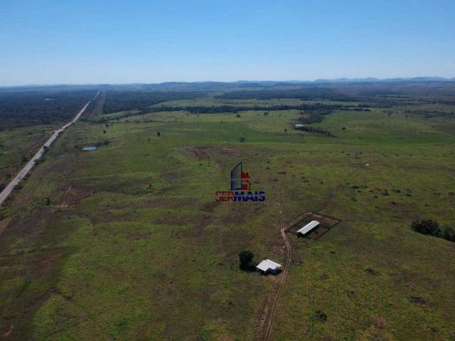 Fazenda na beira da BR 364 próximo à Cacoal - Foto 17