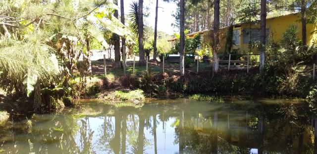 Sitio/ Chácara para Alugar/Palmeiras Suzano - Foto 4