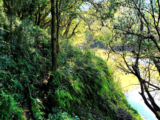 Belo Sítio com 30 hectares as Margens do Rio Canoas, em Rio Rufino - Foto 17