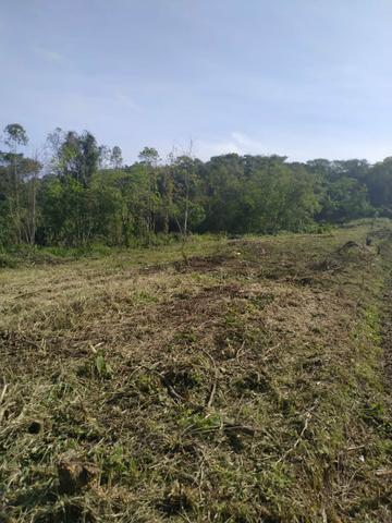 Chacrinha de 1.000m2 - Foto 2