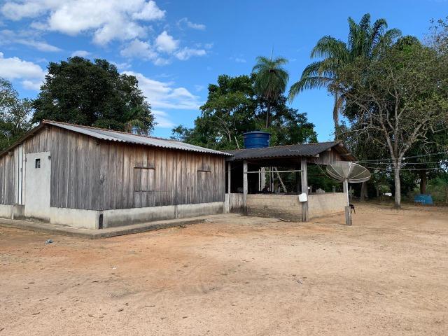 5.000 há (1.033 alq) rica em água com dupla aptidão verde o ano todo - Foto 6