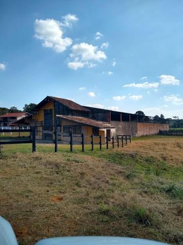 Haras de 30 alqueires com 48 baias e sede fantástica toda mobiliada - Foto 16