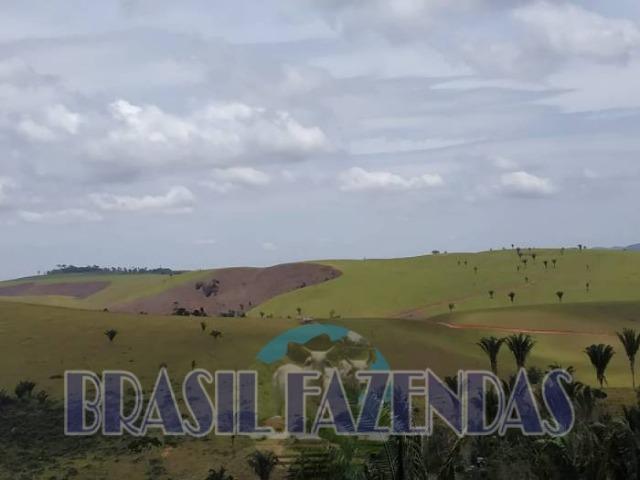 Fazenda em Itamaraju. Jucuruçu