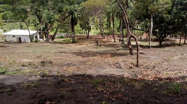 Sítio em paulista 50de frente com 70de fundos largura e 100metros de comprimento - Foto 16
