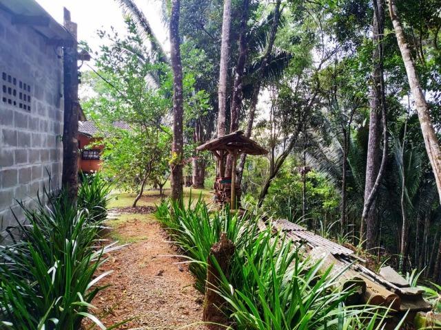Casa em condomínio Fechado em Santa Isabel Domingos Martins - Foto 7