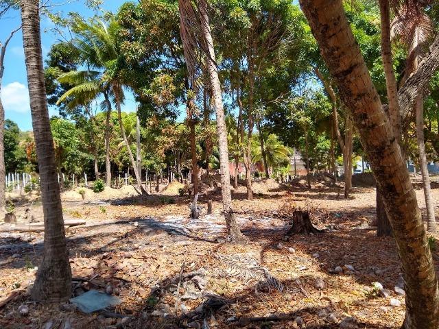 Lotes/Terrenos - Fragoso- Olinda - Foto 9