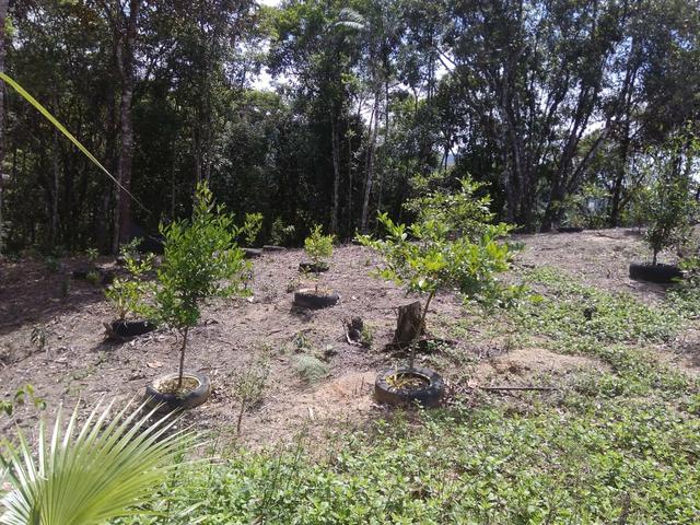 Terreno em Águas Mornas Fazenda do Sacramento II - Foto 2