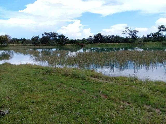 Fazenda de 840 alqs. dupla aptidão Proxima de Dois Irmãos