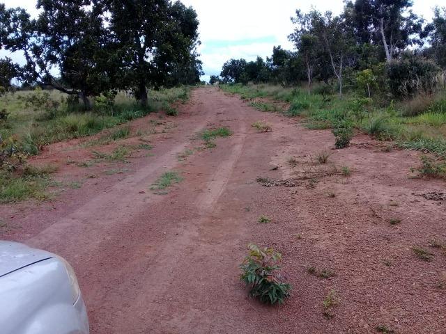 Fazenda de 840 alqs. dupla aptidão Proxima de Dois Irmãos - Foto 8