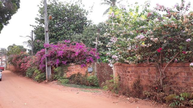 Sítio com casa 02 Andares ( 17.000 mil m2 de área ) - Foto 5