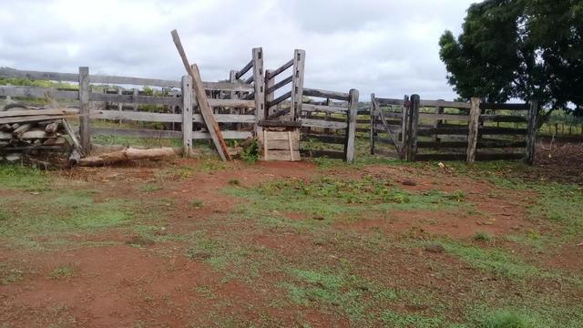 Fazenda de 138 alqs. na região de Dois Irmãos - Foto 4