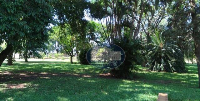 Chácara residencial à venda, Condomínio Chácaras Villa Verde, Birigüi. - Foto 14
