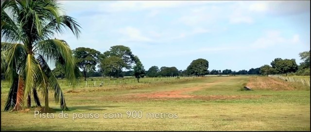2.888 Alqueires em Cocalinho Mt  - Foto 4