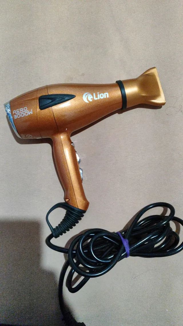 Secador De Cabelo Profissional 3000w