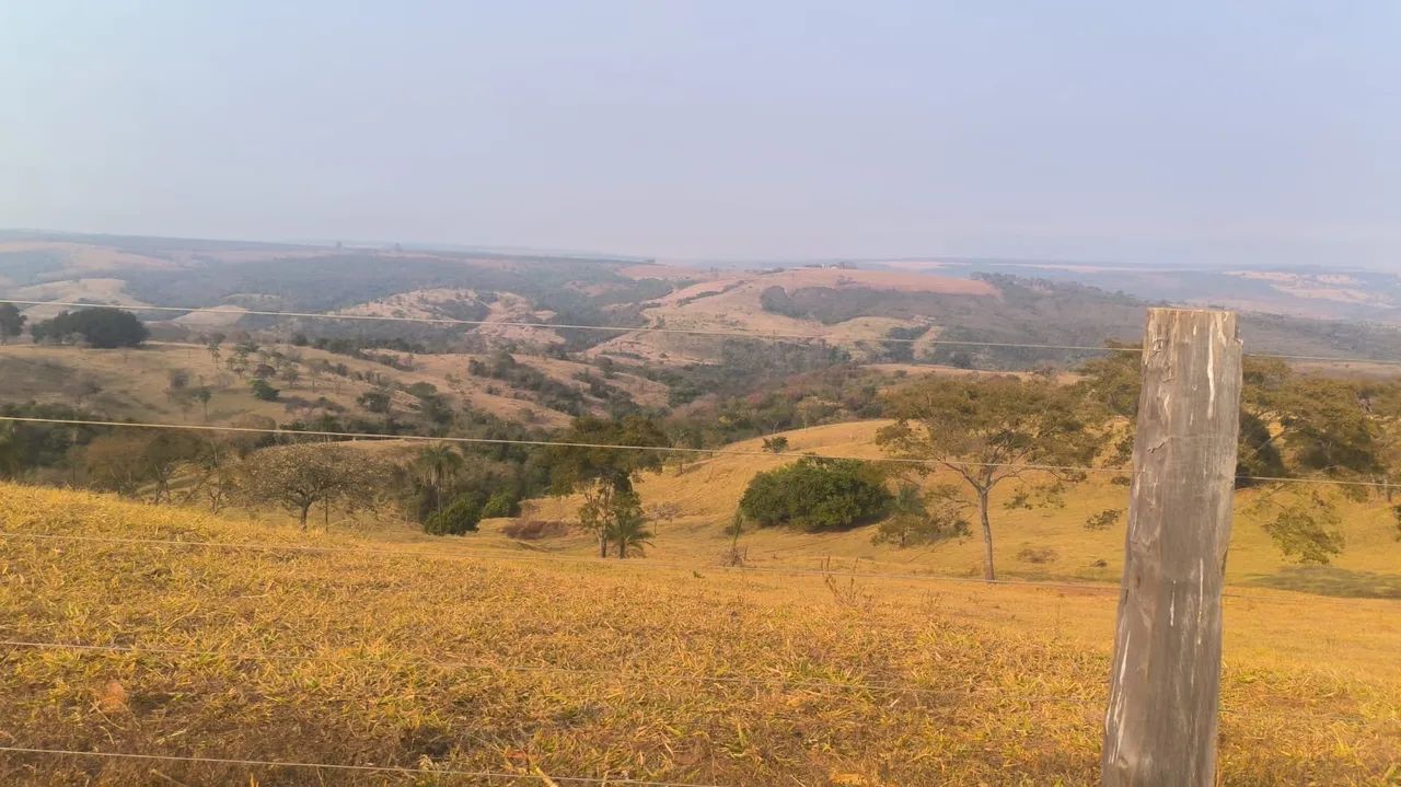 FAZENDA PRA PECUÁRIA EM ROMARIA  - Foto 3