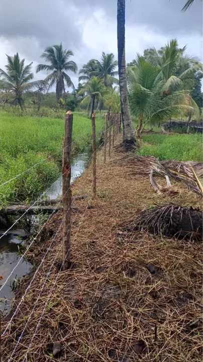 Sítio com lagos e natureza exuberante