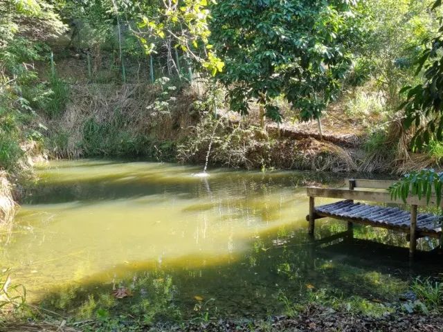 Chácara no Córrego Sete - Foto 3