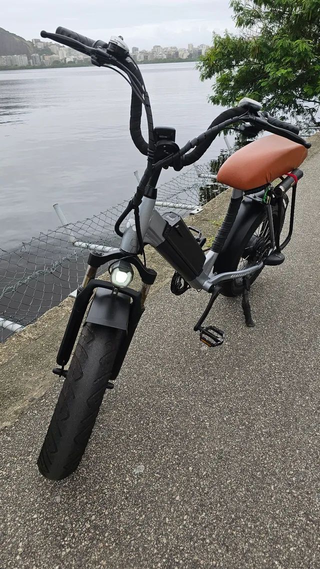 Ebike Lev Cruizer - Foto 5