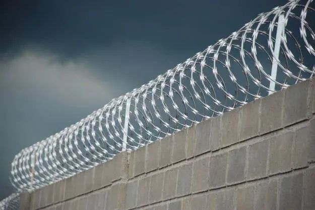 Cerca elétrica e concertina  - Foto 2