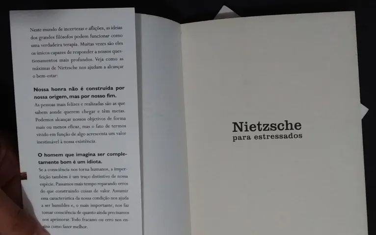 Livro Nietzsche para estressados - Foto 3