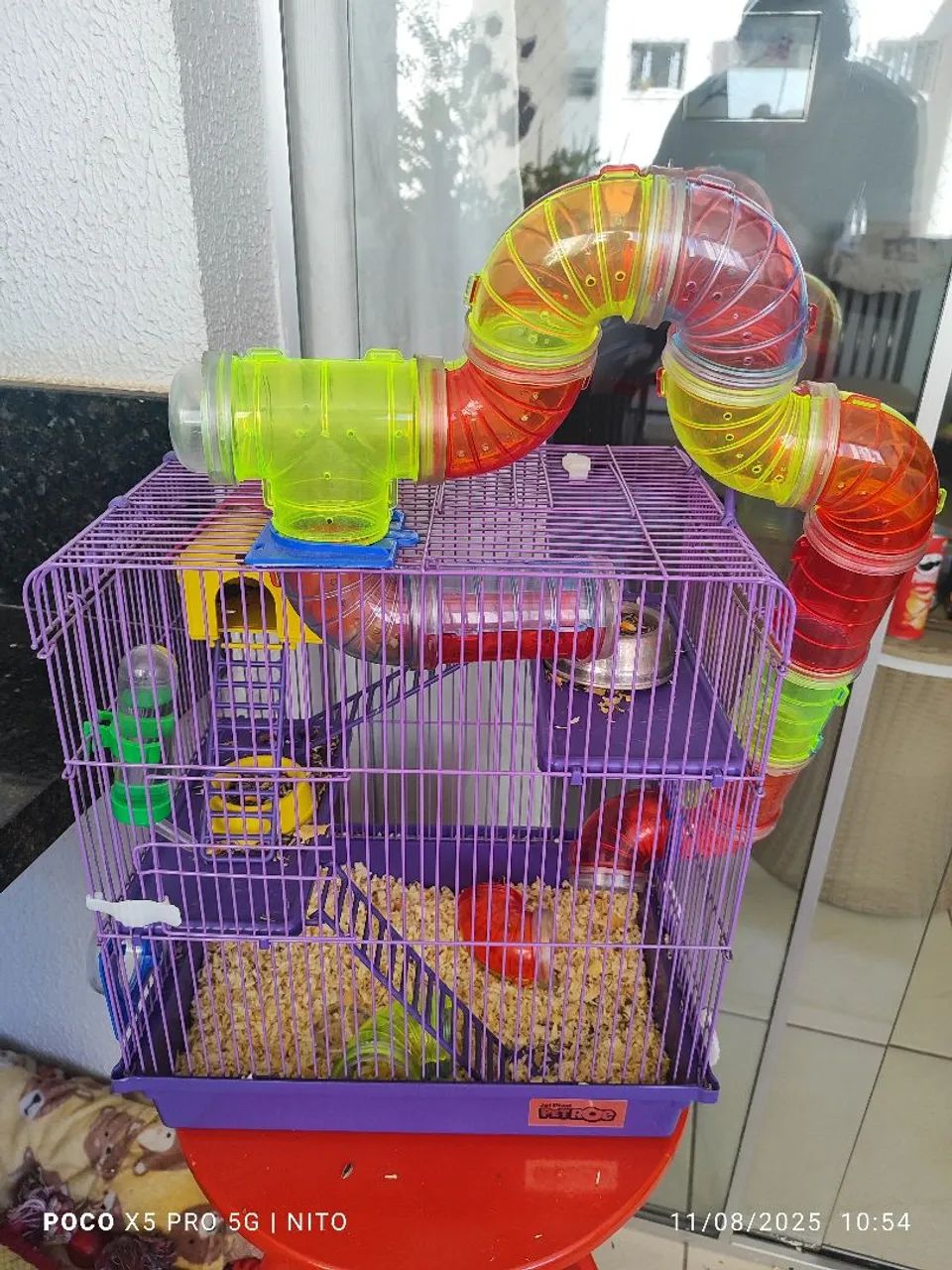 Vende-se 3 hamsters com gaiola. - Foto 6