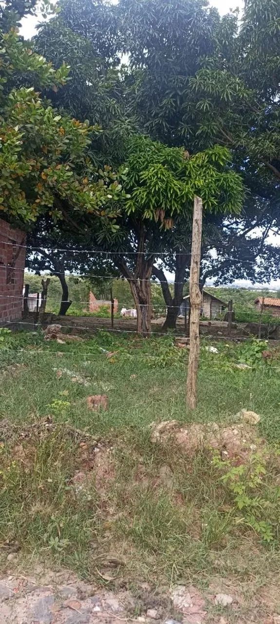 Terreno bem localizado no Planalto Uruguai  - Foto 4