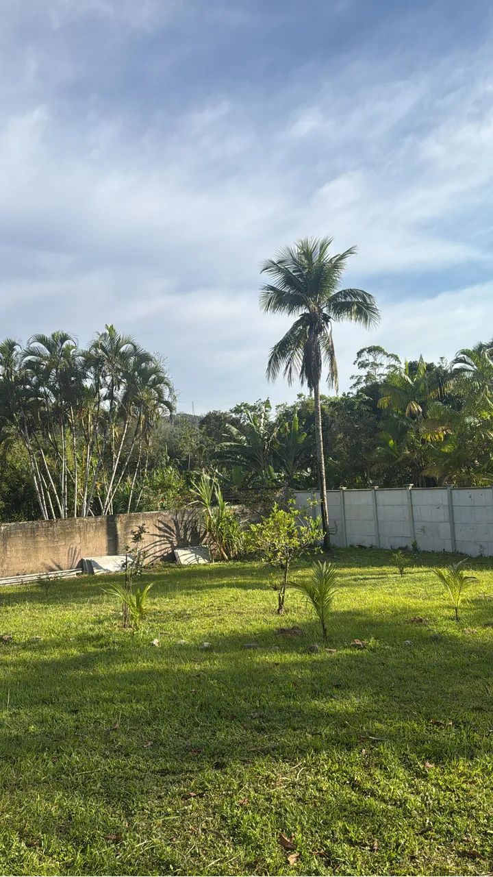 Foto - Pedro de Toledo - 