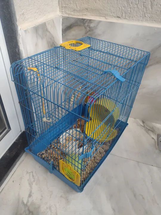 Vendo Gaiola para Hamster - Perfeito Estado
