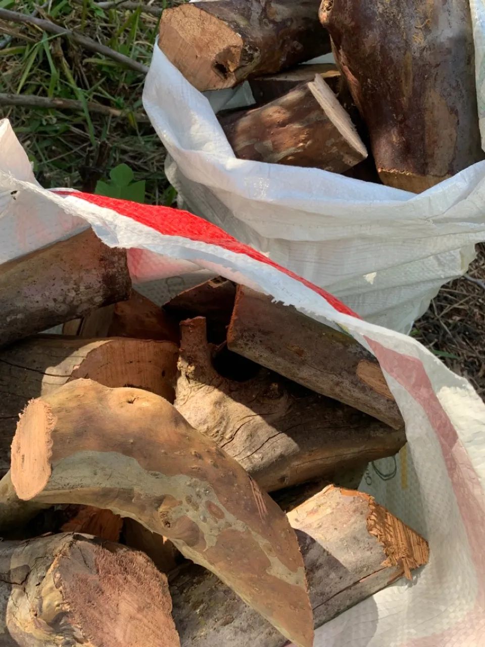 Lenha de goiabeira, frutífera  - Foto 4