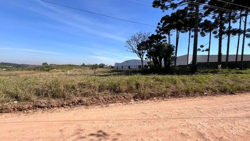 ÁREA EM SÃO JOSÉ DOS PINHAIS  - Foto 3