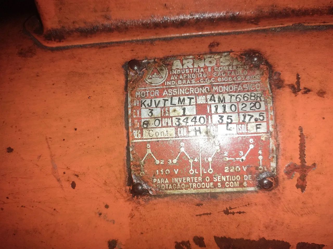 Poli corte  - Foto 3