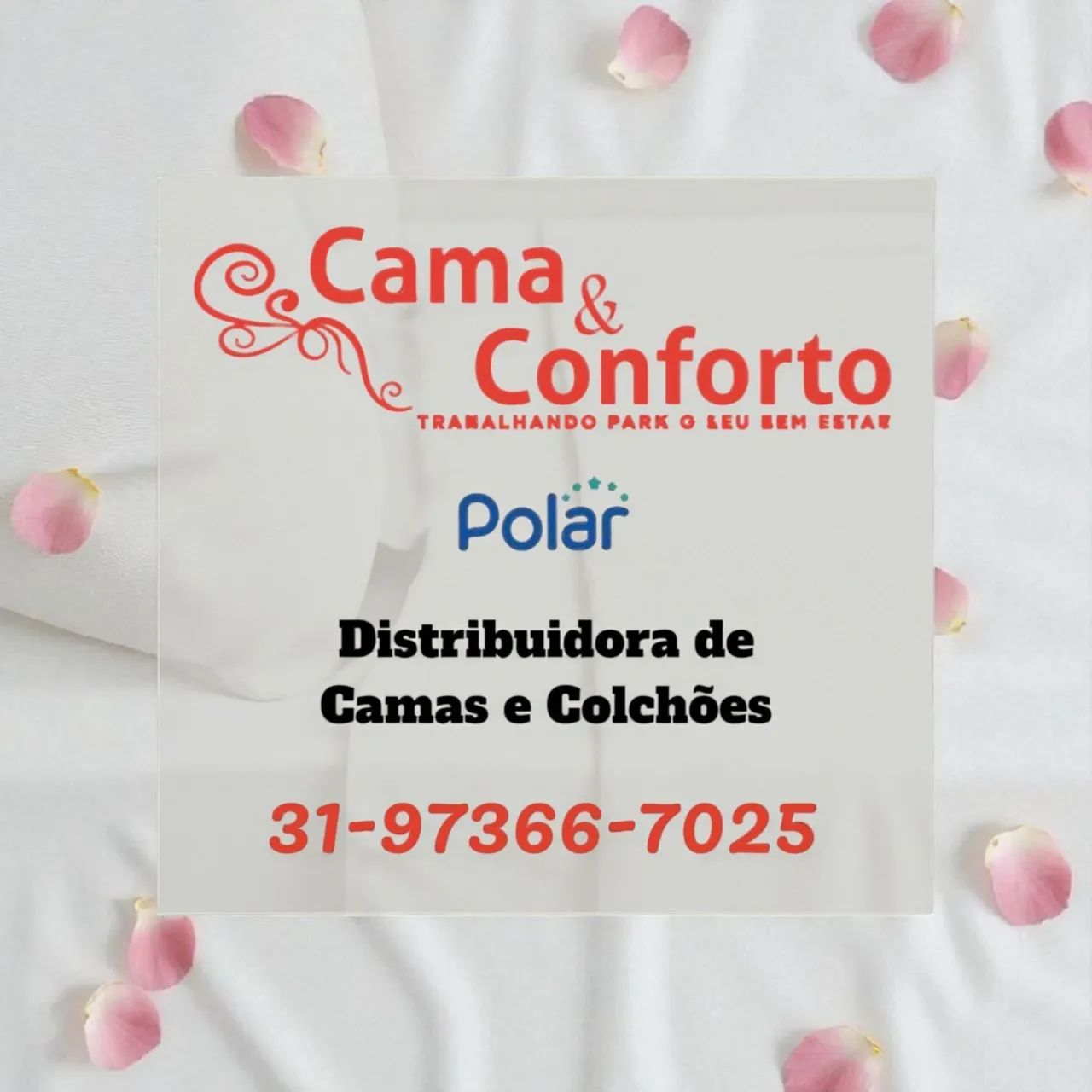 BASE BOX CASAL NOVAS / MODELO 2525091105 - Foto 2