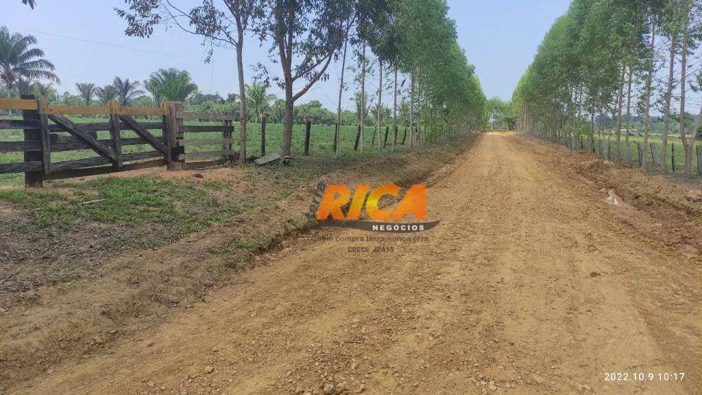 Excelente fazenda à venda, com 100 hectares na Área Rural de Porto Velho/RO - Foto 3