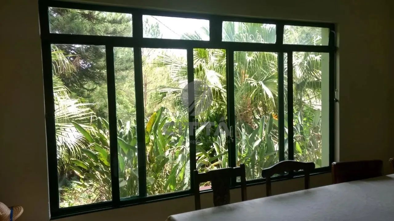 Sitio a venda em Amparo/SP. - Foto 5