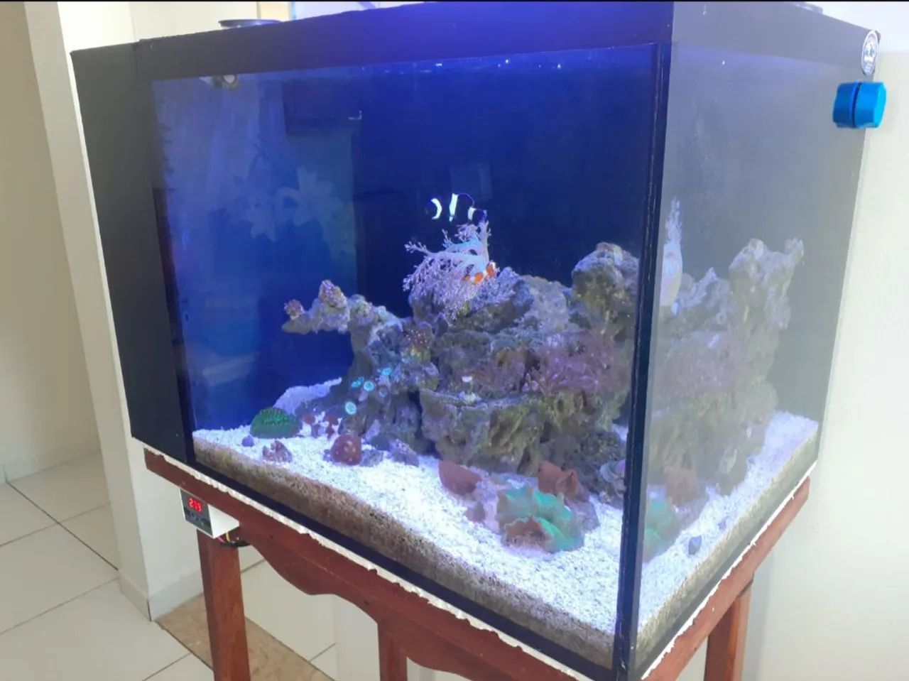 Vendo aquário marinho completo  - Foto 3