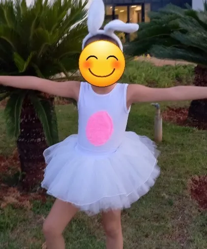 Fantasia infantil, Balé coelhinha, Balé estrela e Vestido Junino