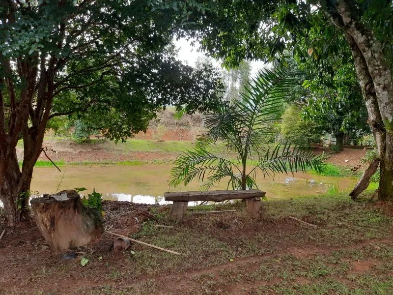 Sítio em Alegre estrada 482 - Foto 4
