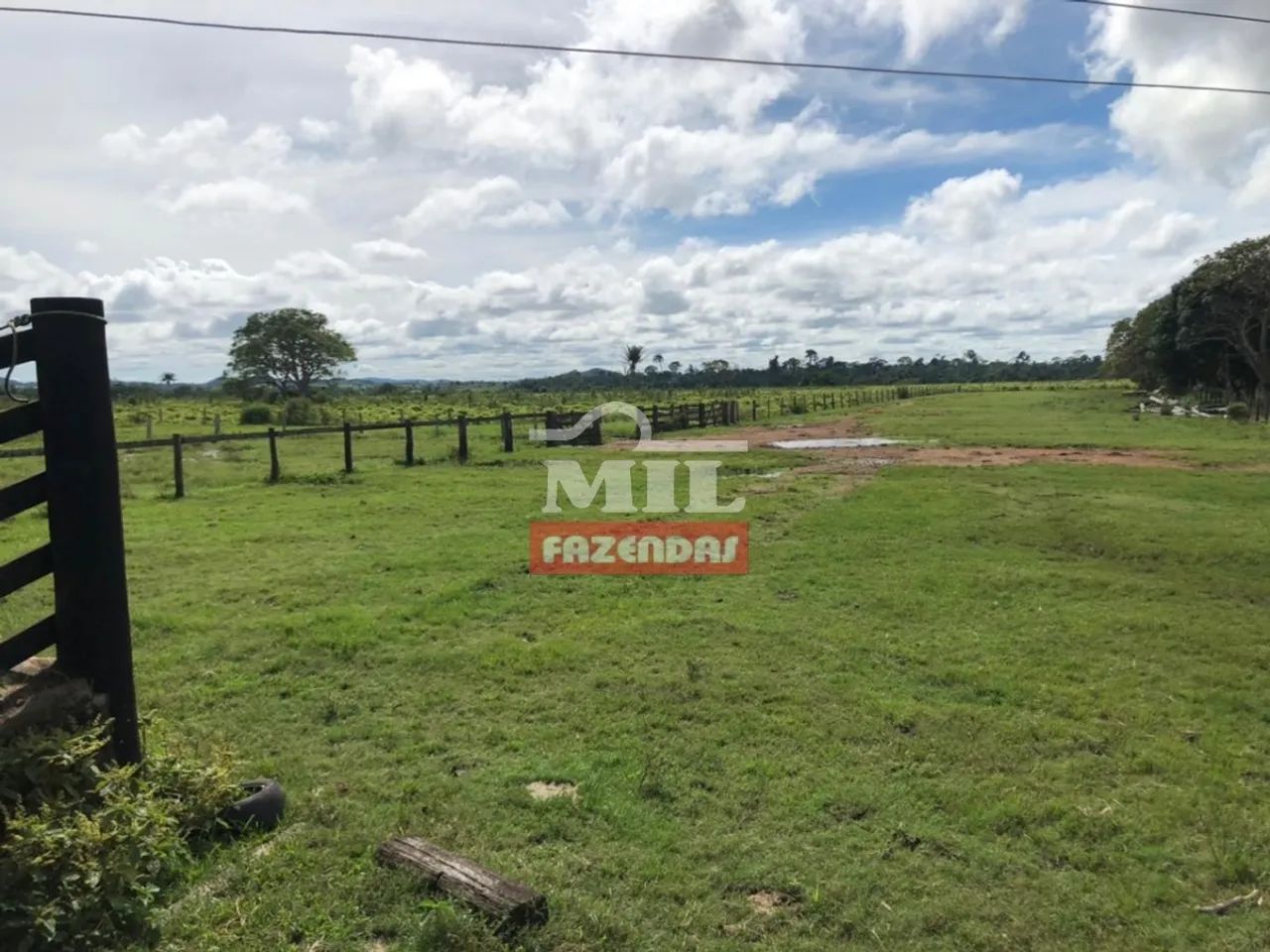 Fazenda 400 Alq. (1.936 Há) São Felix do Xingu  PA - Foto 4