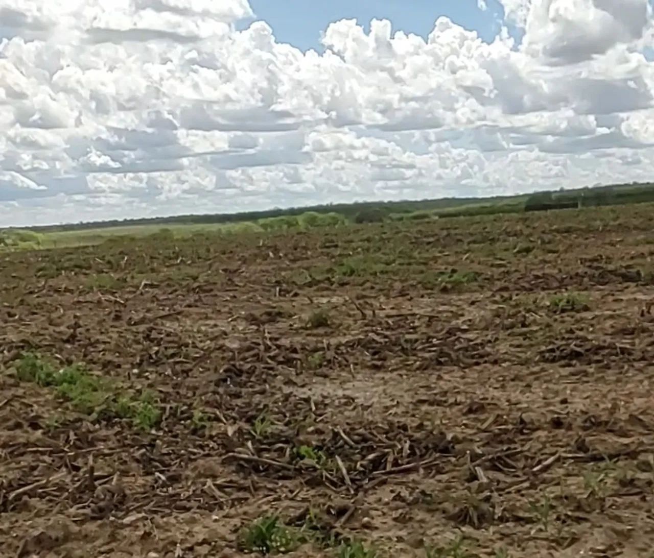 FAZENDA À VENDA (2.900 tarefas)