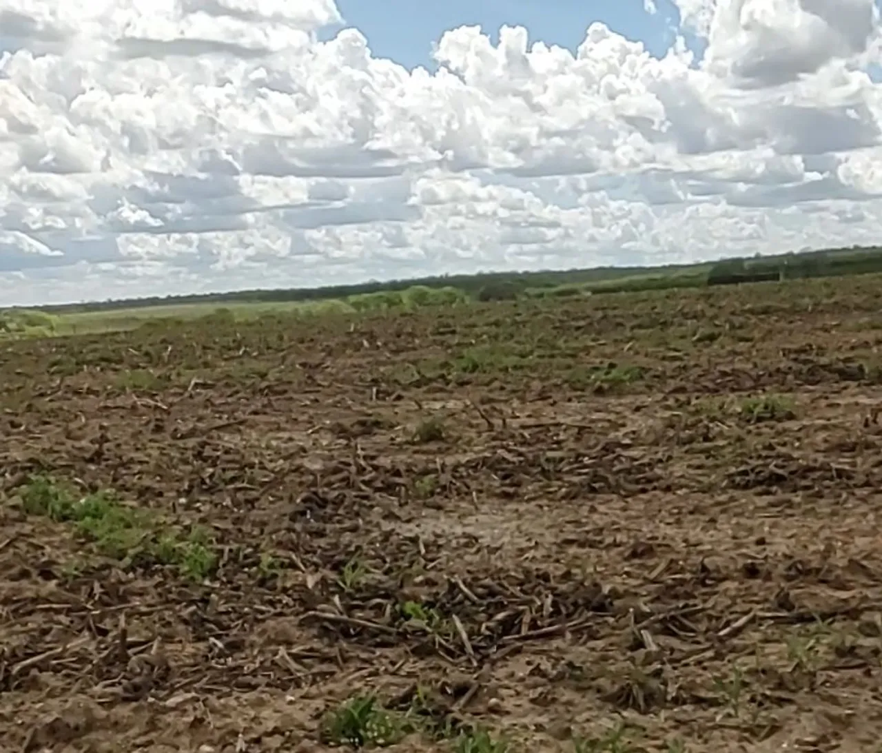 FAZENDA À VENDA (2.900 tarefas)